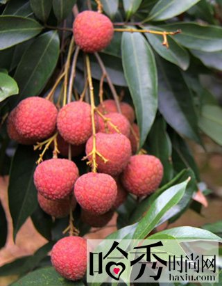 孕妇吃荔枝有什么好处 推荐2款适合孕妇吃的荔枝食谱