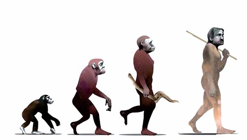 人类进化之路 达尔文也困惑