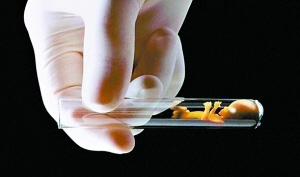 美国论证“三父母试管婴儿”