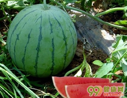 点击图片查看下一页