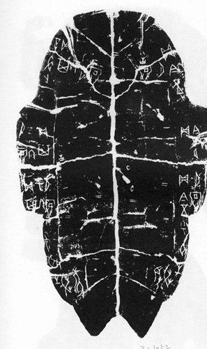 �׹�����Ƭ�����׹��ĺϼ�����116Ƭ