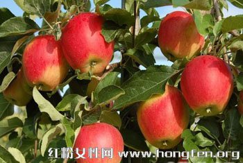 食疗养生指南:秋季调理肠胃要多吃的食物有哪些呢?